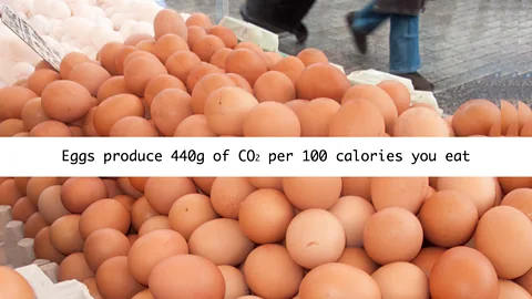 Olivia Howitt (Credit: Olivia Howitt)