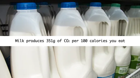 Olivia Howitt (Credit: Olivia Howitt)