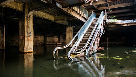 iStock (Credit: iStock)