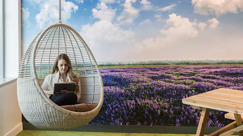 Adobe/Emily Hagopian Photography Adobe says biophilic design is one way the company ensures its employees are cared for (Credit: Adobe/Emily Hagopian Photography)