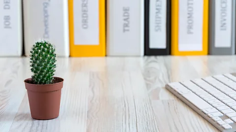 Alamy Blue, green and yellow are associated with productivity and creativity (Credit: Alamy)