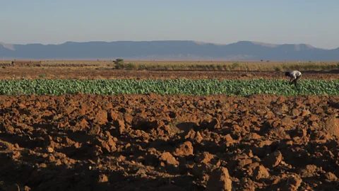 Sandrine Ceurstemont The solar plant draws a massive amount of water from the local El Mansour Eddahbi dam. Water scarcity has been a problem in the semi-desert region (Credit: Sandrine Ceurstemont)