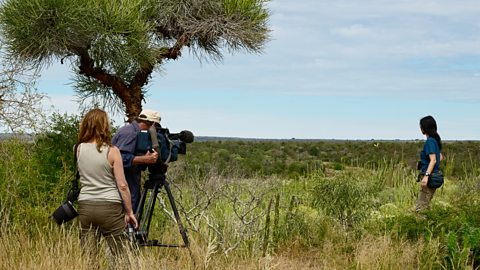 Nature documentary being filmed on location