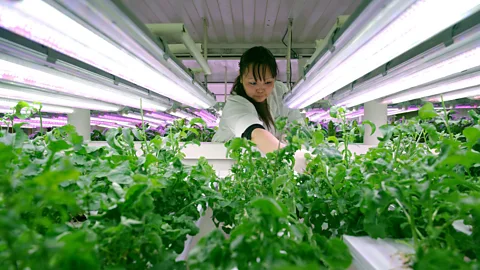 Elena Chernyshova (Credit: Elena Chernyshova)