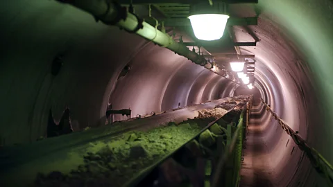 Elena Chernyshova (Credit: Elena Chernyshova)