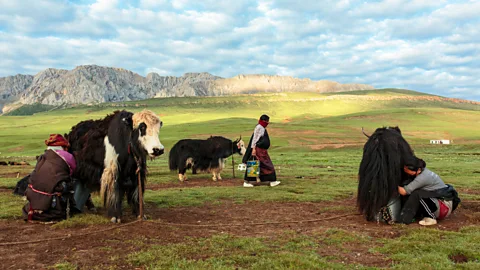 Christine McNab Tibet, mekong