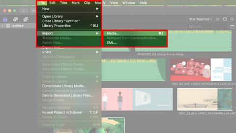 Screenshot of the import menu from video editing software
