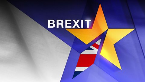 BBC News Channel - The Brexit Effect