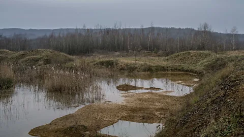 Andrew Testa/Panos The site of the mass grave at Tomasica. So far more than 400 bodies have been exhumed, but authorities believe many more may be buried there (Credit: Andrew Testa/Panos)