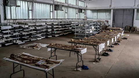 Andrew Testa/Panos DNA analysis has transformed the work here (Credit: Andrew Testa/Panos)