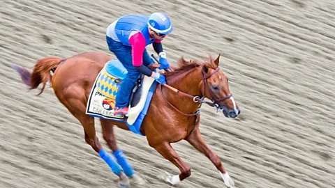 Getty Images Human swarms have predicted the outcome of several sports events, such as this year's World Series Baseball and the Kentucky Derby (Credit: Getty Images)