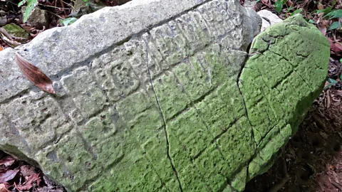Susannah Rigg Stones with Maya writings can be found in the Lost Maya City of Lacanja (Credit: Susannah Rigg)