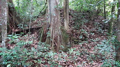 Susannah Rigg The original traditions of the Maya are hardly discussed anymore (Credit: Susannah Rigg)