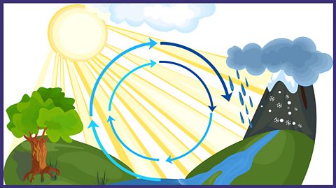 The water cycle