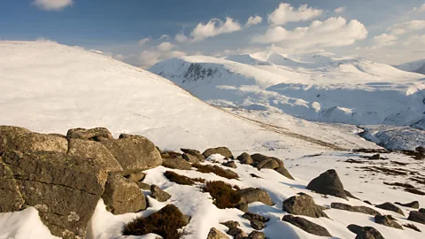 Alamy Scotland’s Cairngorms national park shares many features with Norway’s landscape (Credit: Alamy)