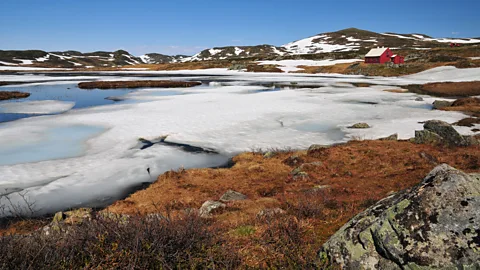 Alamy An iced-over lake in Norway’s Hardangervidda national park, home of the famous Telemark Raid of 1942 (Credit: Alamy)