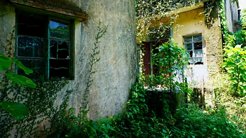 Kate Springer Yim Tin Tsai was once home to a thriving Hakka community (Credit: Kate Springer)