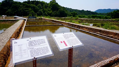 Kate Springer These resurrected salt fields earned a Unesco distinction (Credit: Kate Springer)