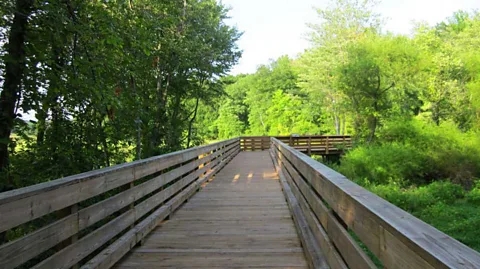 Martha Steger The loop around the island is 1.7 miles long and offers spectacular views of nature (Credit: Martha Steger)
