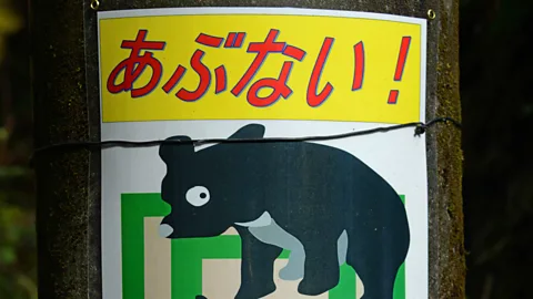 Bill Fink Signs warning hikers of bears dot the path (Credit: Bill Fink)