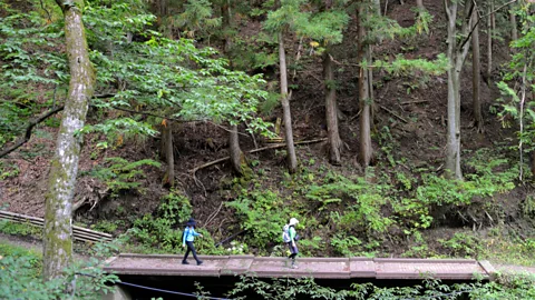 Bill Fink The historical trail offers a quieter, serene side to Japan (Credit: Bill Fink)