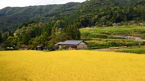 Bill Fink It is easy here to imagine Japan as it looked in centuries past (Credit: Bill Fink)