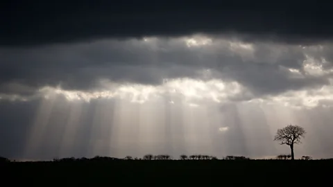 Alamy (Credit: Alamy)