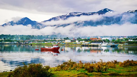 Felipe Gera Tierra del Fuego is one of the richest corners of the Earth in terms of bryophytes (Credit: Felipe Gera)