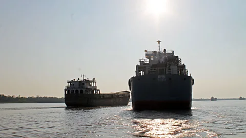 Jack Palfrey The area is threatened by the construction of the Rampal Coal Power Station, only 65km away (Credit: Jack Palfrey)