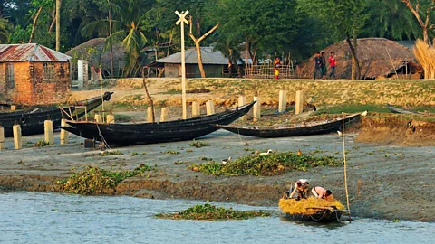 GUIZIOU Franck/hemis.fr/Alamy The area is a Unesco World Heritage Site that’s home to about 150 tigers (Credit: GUIZIOU Franck/hemis.fr/Alamy)