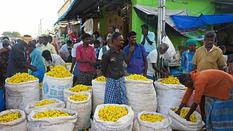 Kamala Thiagarajan Commissioning agents, who sell flowers in larger quantities, are mostly male (Credit: Kamala Thiagarajan)