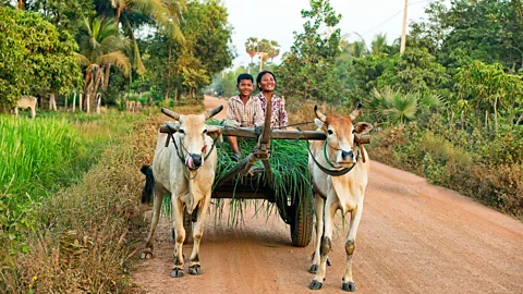 Dave Stamboulis The one-hour journey from Siem Reap to Beng Mealea passes many locals (Credit: Dave Stamboulis)