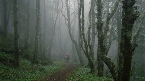 Zeb Andrews/Getty De-Cuys was forced to walk 80 miles of what is now the Oregon Coast Trail (Credit: Zeb Andrews/Getty)