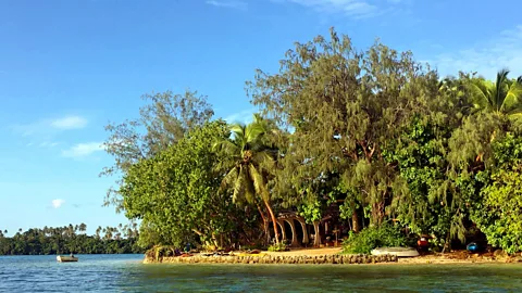 Rob Roberts The resort blends in with the natural environment of the island (Credit: Rob Roberts)