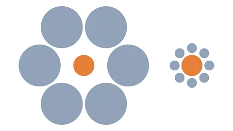 Wikimedia Commons Which orange circle appears bigger? Again, your reaction to this optical illusion will depend on your cultural background (Credit: Wikimedia Commons)