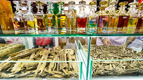 Agarwood (Oud) essential oil: liquid gold in fragrance & perfume industry