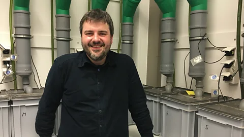 Richard Hollingham Jens Hauslage's lab is full of tanks growing tomatoes in urine - a concept that could one day feed astronauts (Credit: Richard Hollingham)