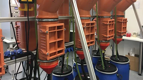 Richard Hollingham Though the laboratory is full of tanks containing urine, there is little smell thanks to it being broken down by bacteria (Credit: Richard Hollingham)