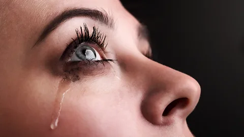 iStock (Credit: iStock)