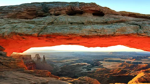 Henk Meijer/Alamy "There’s so much to see. You can’t see it in two lifetimes" (Credit: Henk Meijer/Alamy)