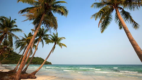 Michele Falzone/Alamy Phú Quốc island’s turquoise waters attract visitors worldwide (Credit: Michele Falzone/Alamy)