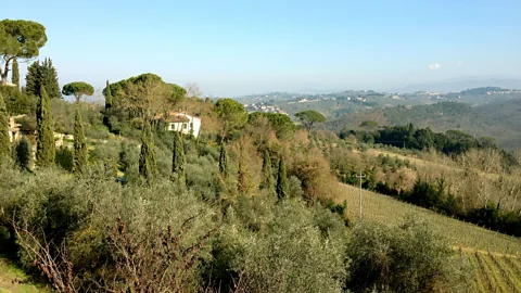 Silvia Marchetti Machiavelli was exiled to a tiny hamlet perched on the hills of San Casciano (Credit: Silvia Marchetti)