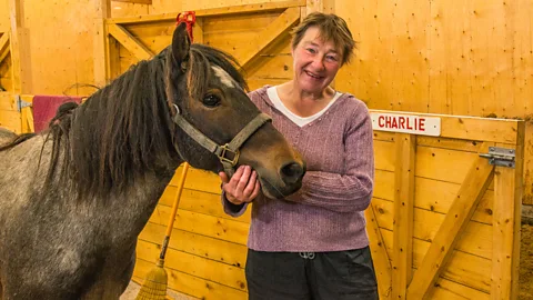Wade Janes Newfoundland, Pony