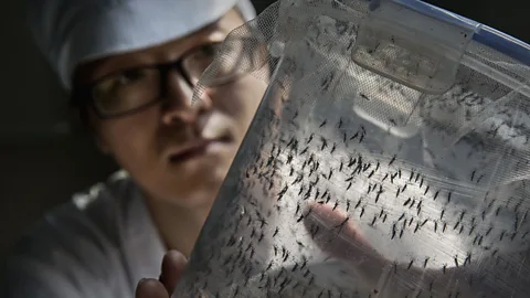 Getty Images It's crucial to have vaccines ready to fight the next global epidemic — be it Zika, Ebola, or a new disease. (Credit: Getty Images)