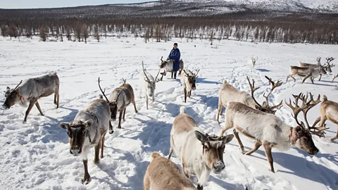 Taylor Weidman (Credit: Taylor Weidman)