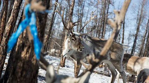 Taylor Weidman (Credit: Taylor Weidman)