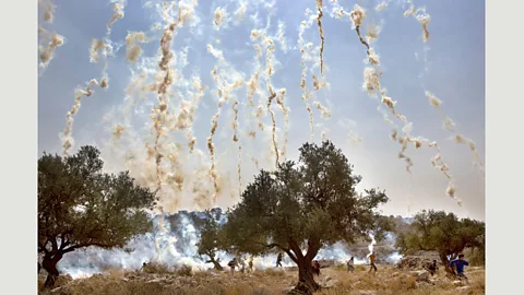 Cris Toala Olivares (Credit: Cris Toala Olivares)