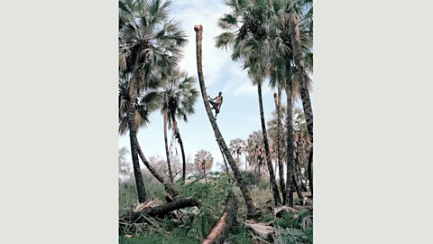 Kyle Weeks (Credit: Kyle Weeks)