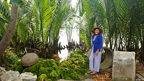 Cam Thanh’s Women Union Nipa palms are the only palms adapted to salty coastal waters (Credit: Cam Thanh’s Women Union)