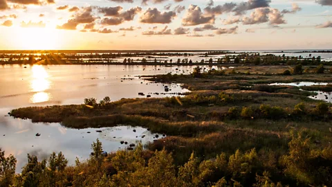 Jim O'Donnell In summer, the sun doesn’t set until nearly midnight in the Kvarken islands (Credit: Jim O'Donnell)
